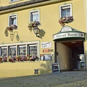 Hotel Gruener Baum, Naila